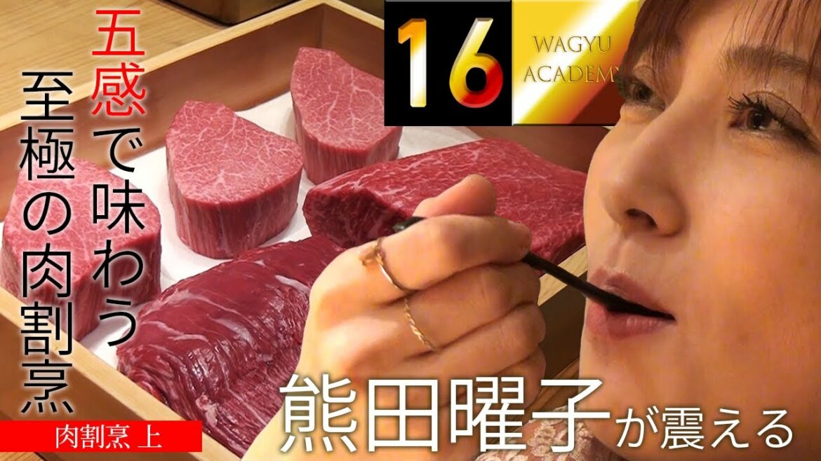 【肉割烹 上/西麻布】和牛を昇華する至高の肉割烹！熊田曜子がカウンターで和牛を堪能！焼肉とは違った和牛の新しい味わい方がここにある！"Enjoy Japanese Wagyu"