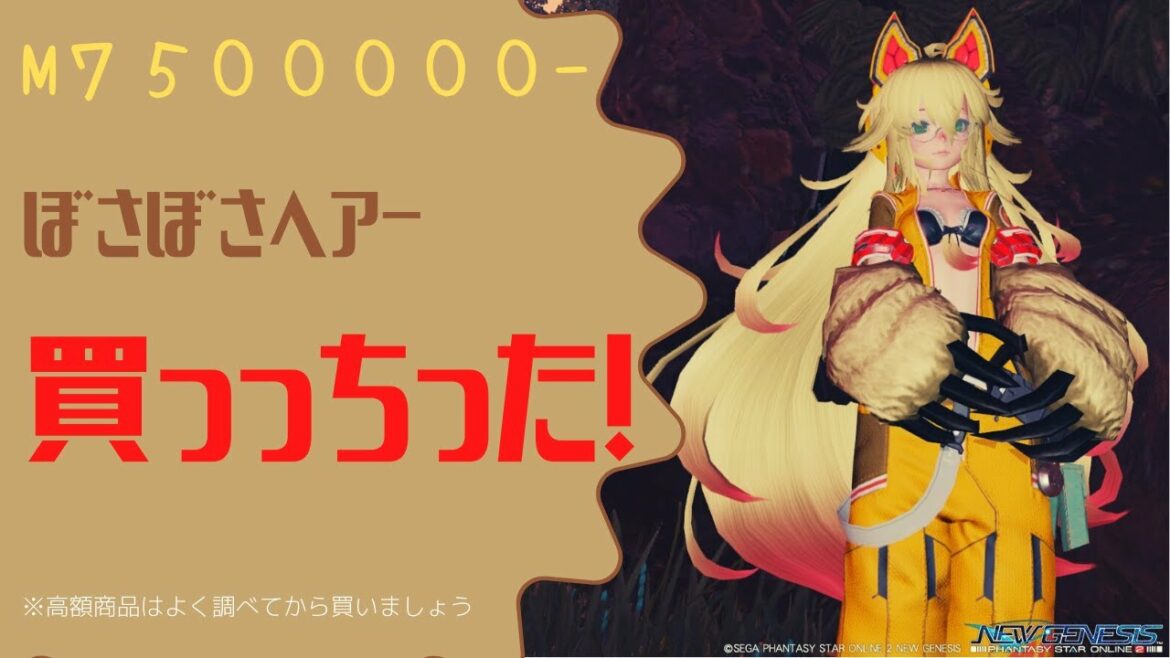 【PSONGS】ガッキーがぼさぼさロングヘアを(6鯖)最高額で買うまで【7.5Mの品買ったのPSO２ではじめてだわ】
