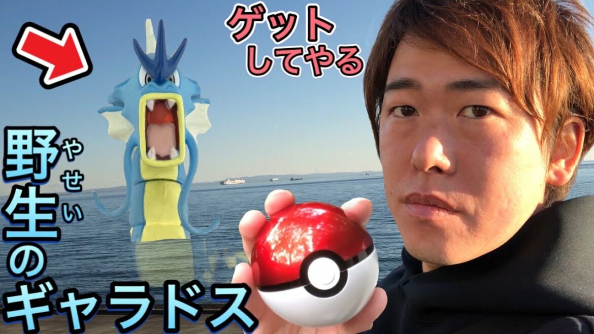 【衝撃映像】海岸を散歩してたら超巨大な野生のギャラドスが現れて全力でゲットします…