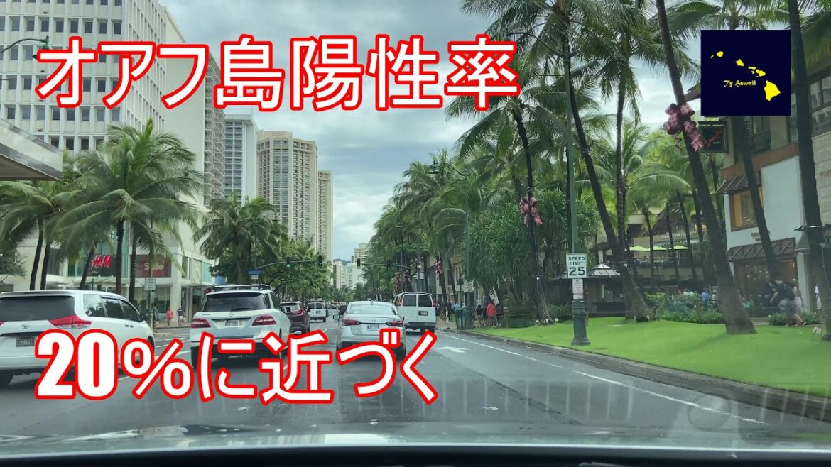 【ハワイ】オアフ島の陽性率が20％に近づく　1月3日　Daily Hawaii News