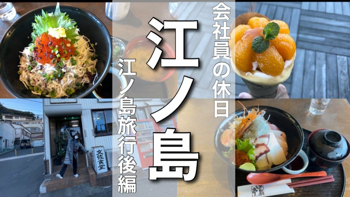 【冬の江ノ島デート後編！広瀬すずも行った定食屋へ！】江ノ島亭で海鮮丼を堪能しました。広瀬すずも訪れた定食屋で乾杯。【Enoshima/trip/sea/Japan/Kanagawa】