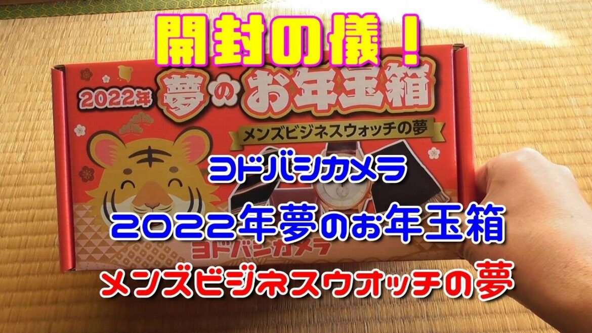 ヨドバシカメラ 2022年 夢のお年玉箱 メンズビジネスウオッチの夢 開封の儀