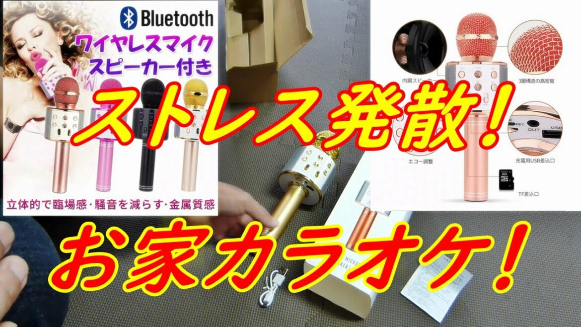 お家カラオケが出来るマイクを買った～！ストレス発散！