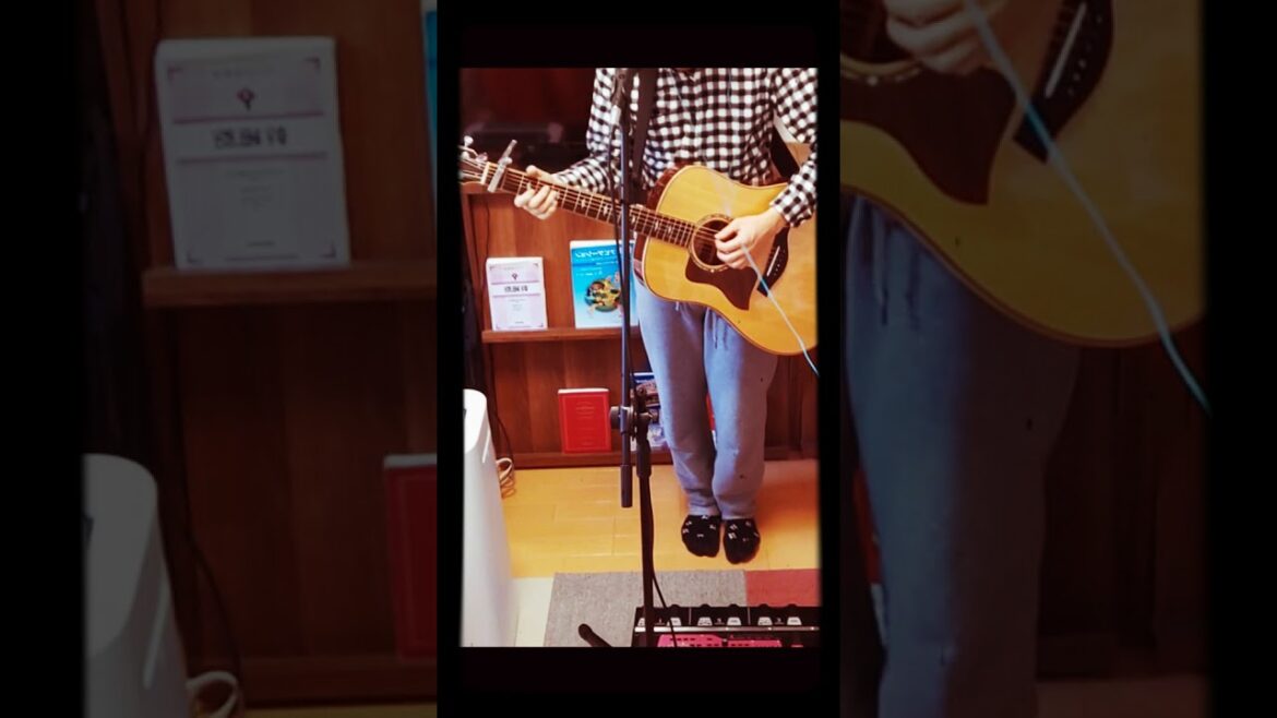 Closer (Tokyo Remix) feat. 新田真剣佑 Loop pedal ver.