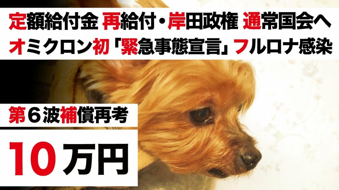 緊急事態宣言【特別定額給付金 再給付・岸田政権 第6波の補償 再考】鹿児島「独自発令」3県 まん延防止等重点措置 VS オミクロン株「世界初 フルロナ感染」【通常国会と生活支援策】