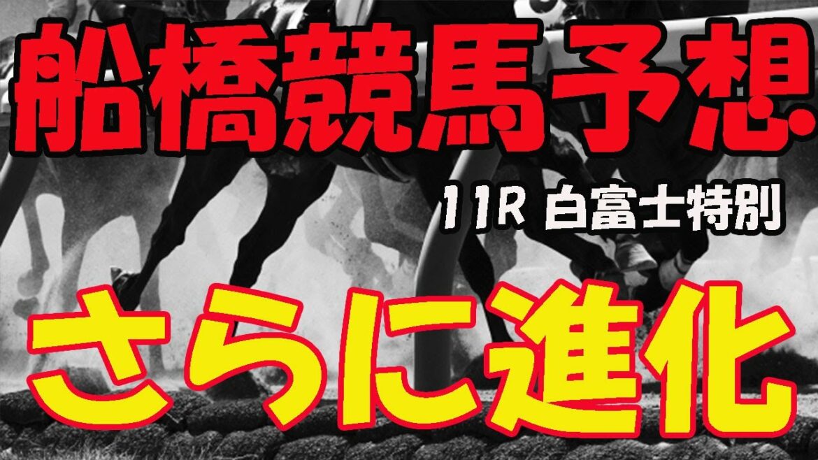 【 地方競馬予想 】船橋競馬場 11R 白富士特別(B2B3) 競馬 地方競馬 地方競馬予想 船橋競馬 船橋競馬予想