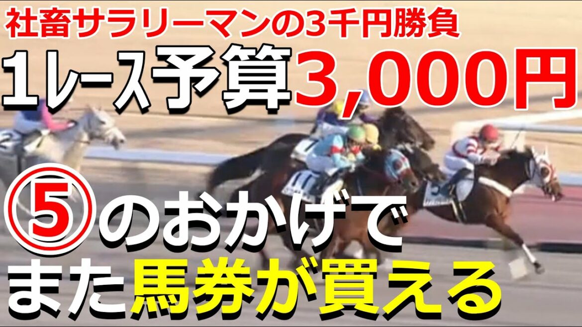 【競馬】調子乗って3連系勝負の結果は!?3,000円勝負は負けたくない 【競馬】調子乗って3連系勝負の結果は!?3,000円勝負は負けたくない