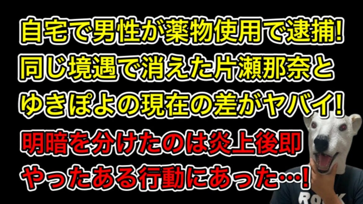 薬の疑惑で消えたゆきぽよと片瀬那奈の現在の差がヤバイ!明暗を分けた報道後のある行動とは…? 薬の疑惑で消えたゆきぽよと片瀬那奈の現在の差がヤバイ!明暗を分けた報道後のある行動とは…?