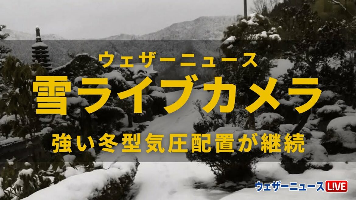 【強い冬型気圧配置・日本海側は積雪急増に警戒】大雪ライブカメラ・北日本〜北陸/1月13日〜