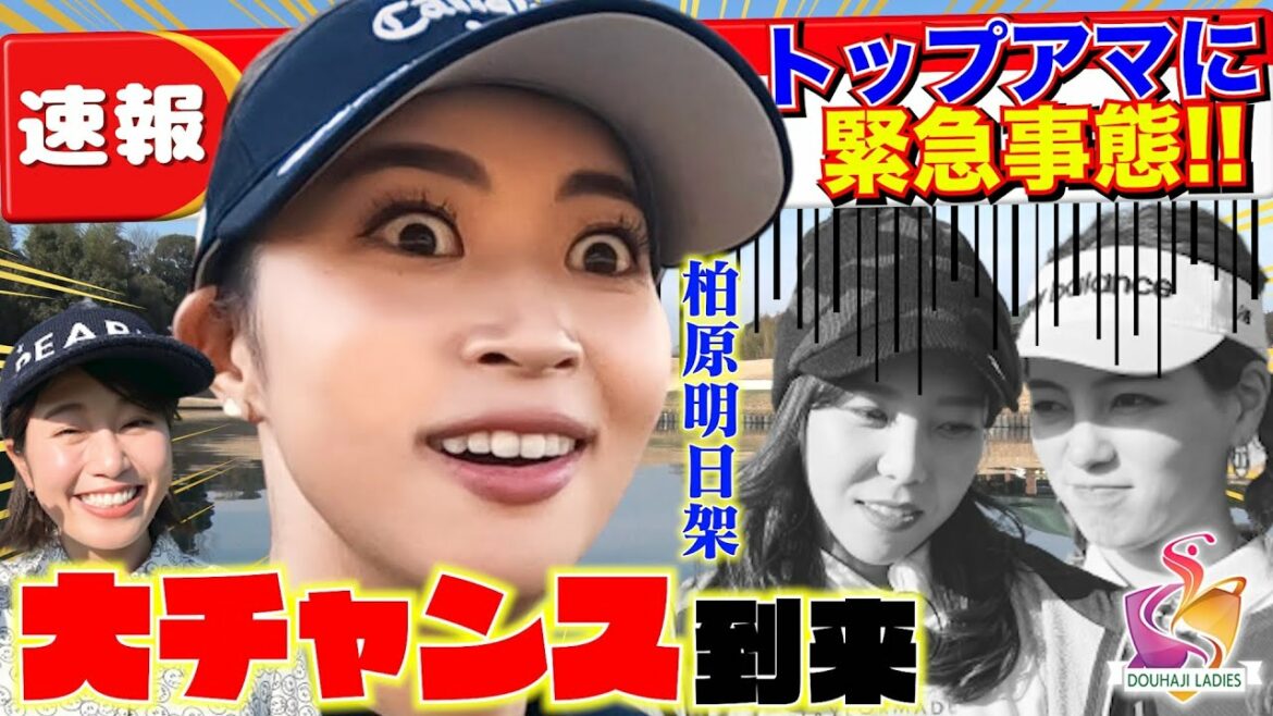 柏原明日架プロ＆稲村亜美の逆襲！VS 秋山真凛＆菊地彩香、大ピンチ【動はじレディース】