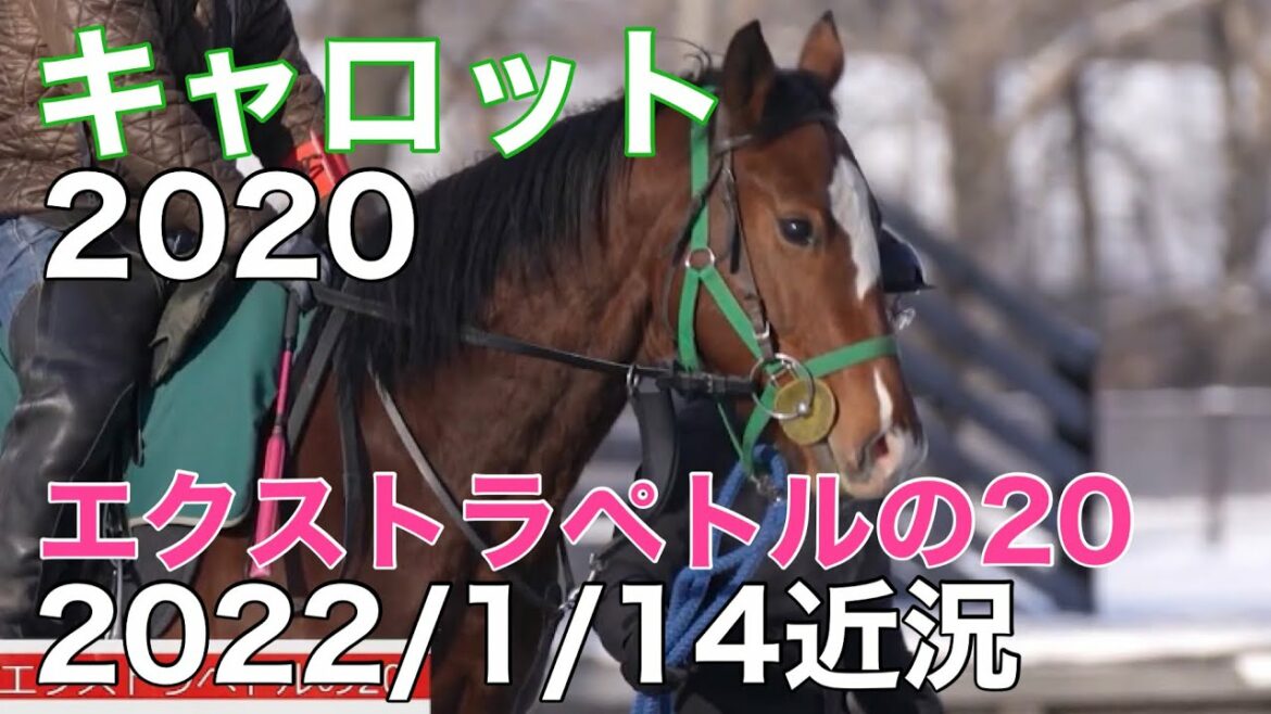 【桜花賞を目指すエクストラペトルの20近況】22/1/14キャロットクラブ