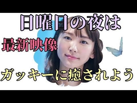 癒し 最新のガッキーに癒されよう News Wacoca Japan People Life Style