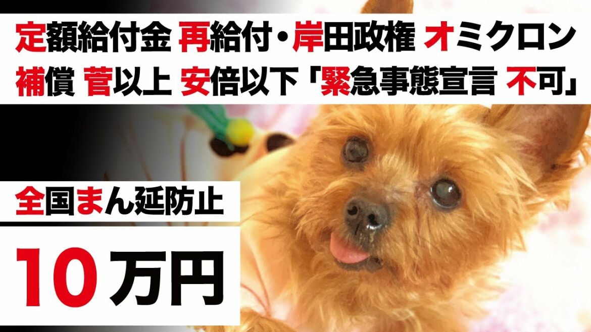 菅以上安倍以下【特別定額給付金 再給付・岸田政権 第6波 補償】緊急事態宣言 感染拡大「東京都 要請できない」VS 全国 まん延防止【オミクロン株 ワクチン 飲み薬】