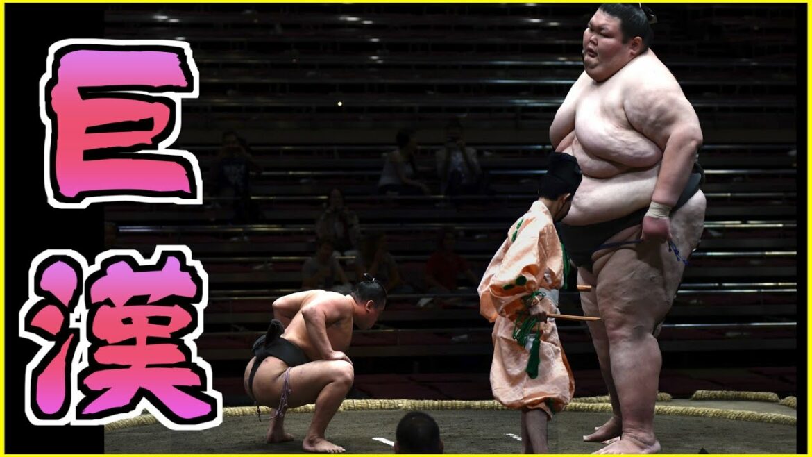 【衝撃映像まとめ】200kg超えの巨大力士が敗れた相撲
