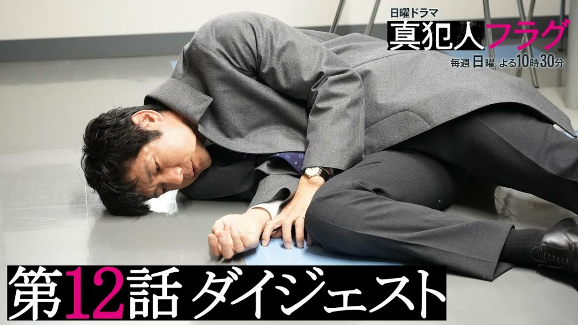 【西島秀俊 芳根京子 宮沢りえ】日曜ドラマ「真犯人フラグ 真相編」第12話がわかるダイジェスト!【第13話は1/23(日)よる10:30】 【西島秀俊 芳根京子 宮沢りえ】日曜ドラマ「真犯人フラグ 真相編」第12話がわかるダイジェスト!【第13話は1/23(日)よる10:30】