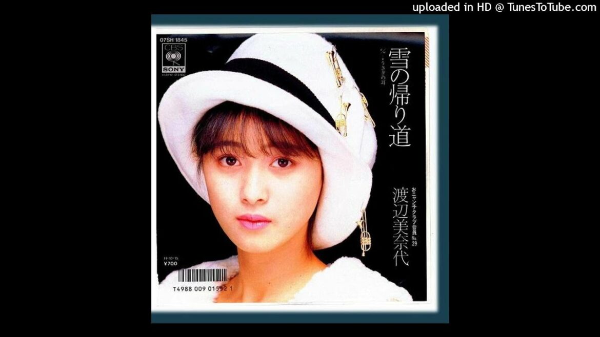 渡辺美奈代 - 雪の帰り道