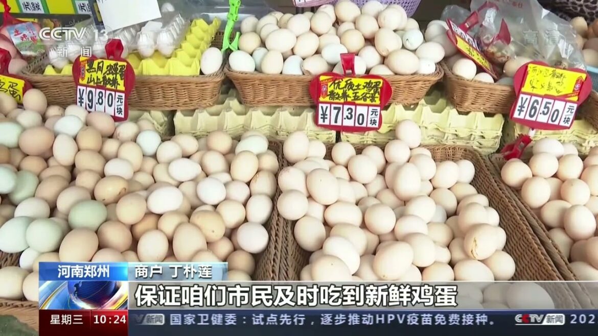 【放送事故】郑州市全市向全市农贸市场