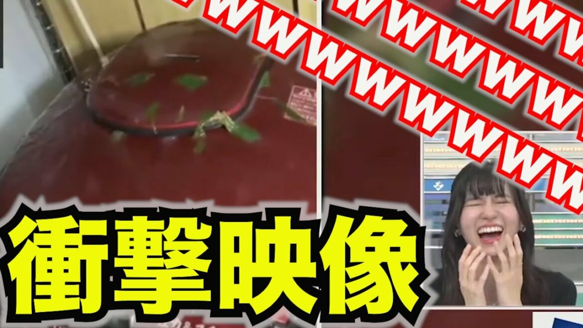 【衝撃映像】のんちゃん大爆笑ｗｗｗこれは笑わずにはいられない【ウェザ天】大島璃音チャスター、七草が吹き出す炊飯器に笑いが止まらずリポートもままならない／ウェザーニュース切り抜き