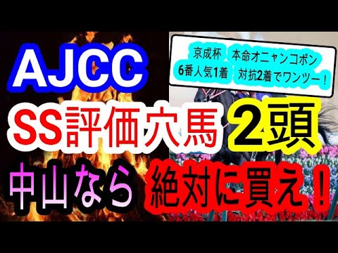 【競馬予想】AJCC2022 オニャンコポンに続け! データ的に中山2200mなら大金星も可能な激走穴馬がいる!! オーソクレース等 【競馬予想】AJCC2022 オニャンコポンに続け! データ的に中山2200mなら大金星も可能な激走穴馬がいる!! オーソクレース等