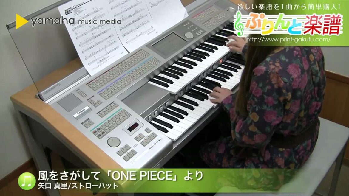 風をさがして / 矢口 真里  ストローハット / 初級