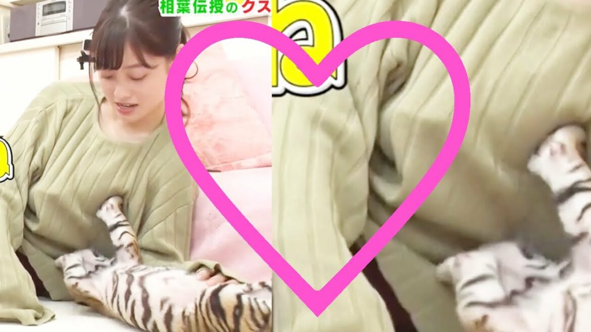 橋本環奈　おっぱい触るトラ