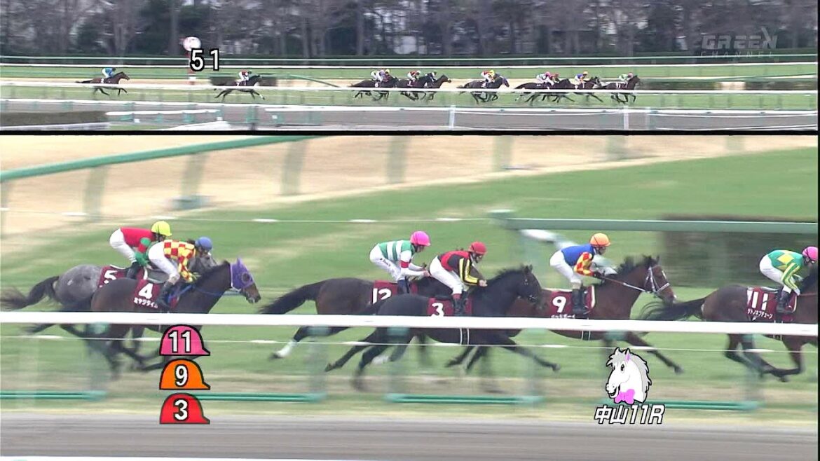 中山 芝2000M 弥生賞 GⅡ 2013年03月03日