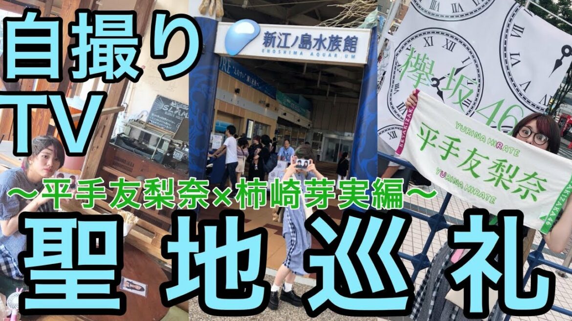【平手友梨奈&柿崎芽実】自撮りTV〜てちめみ聖地巡礼〜