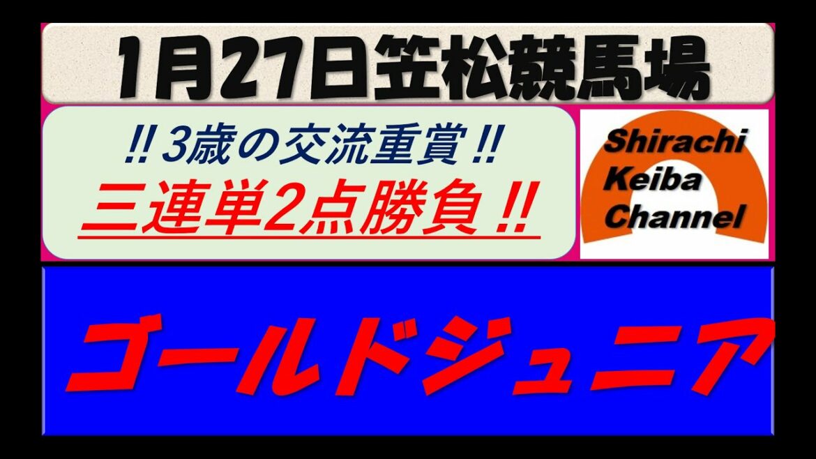 【競馬予想】重賞 ゴールドジュニア 2022年1月27日 笠松競馬場