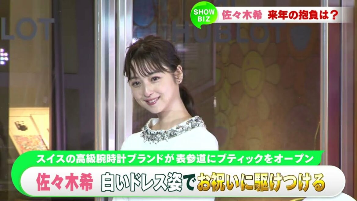 佐々木希の来年の抱負とは？