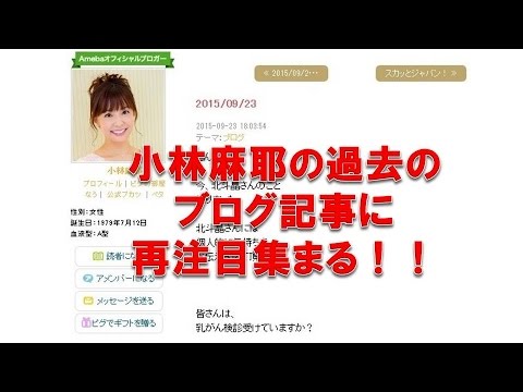小林麻耶に「妹思い」の声!過去のブログに注目!! 小林麻耶に「妹思い」の声!過去のブログに注目!!