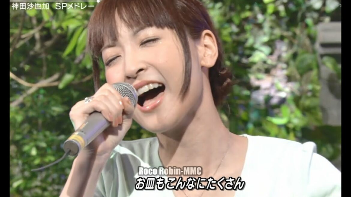 これは泣けちゃう！「雪だるまつくろう～生まれて初めて」アナ雪・神田沙也加