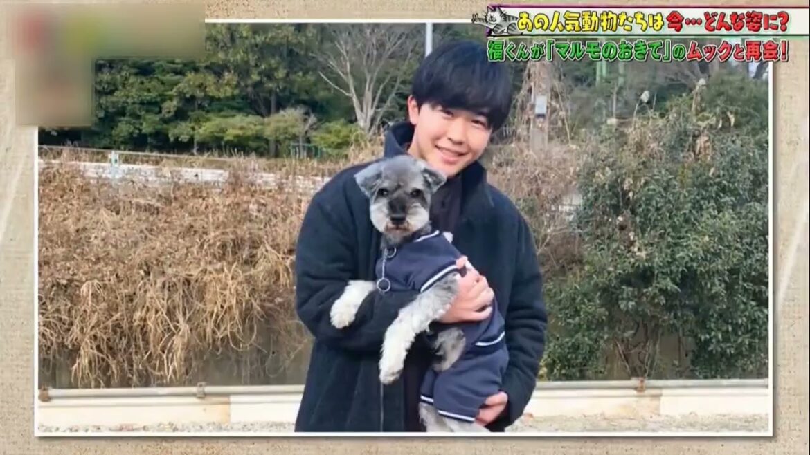 【鈴木福さん】約8年ぶりに会った犬と人【ムック】