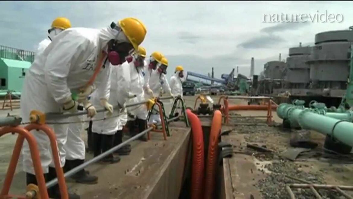 福島原発事故から半年