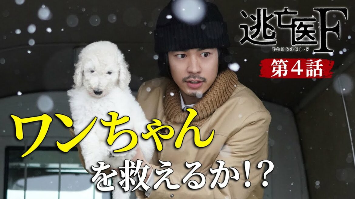 【逃亡医F】第4話予告 東京に向かう道中で最大のピンチが…｜成田凌・森七菜・松岡昌宏【日テレドラマ公式】