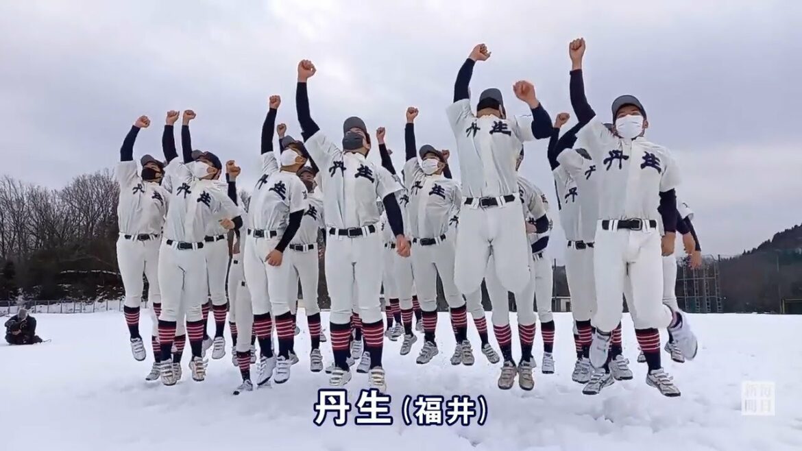 センバツ出場校決定　32校ダイジェスト
