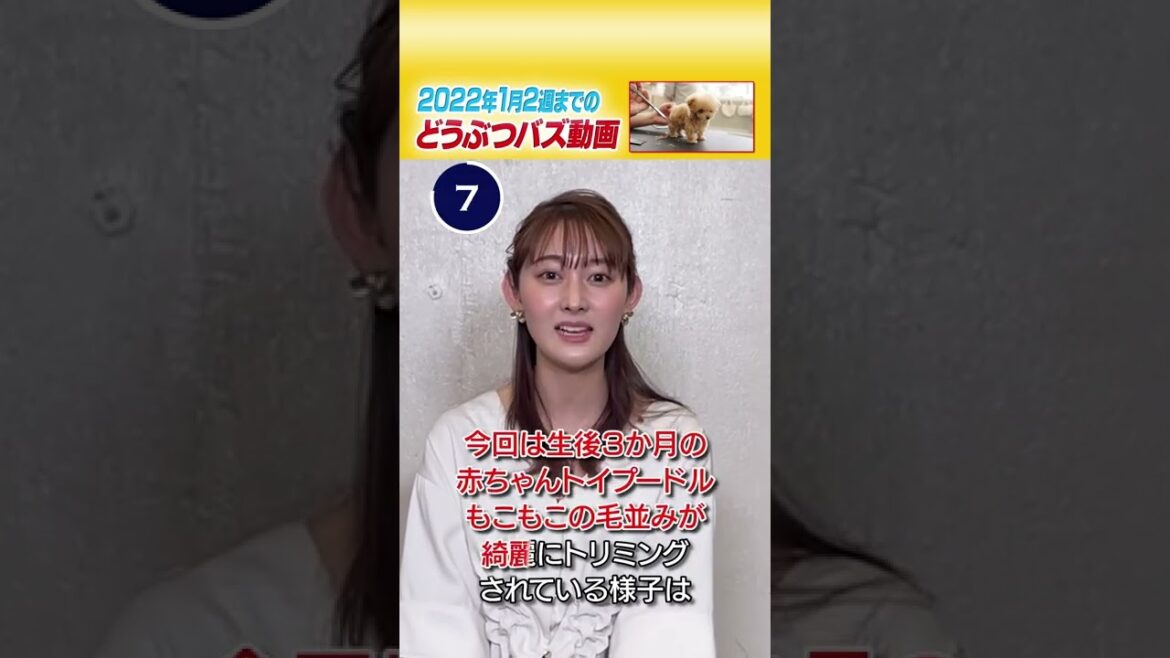 【女子アナ】人気どうぶつ動画を30秒で紹介！