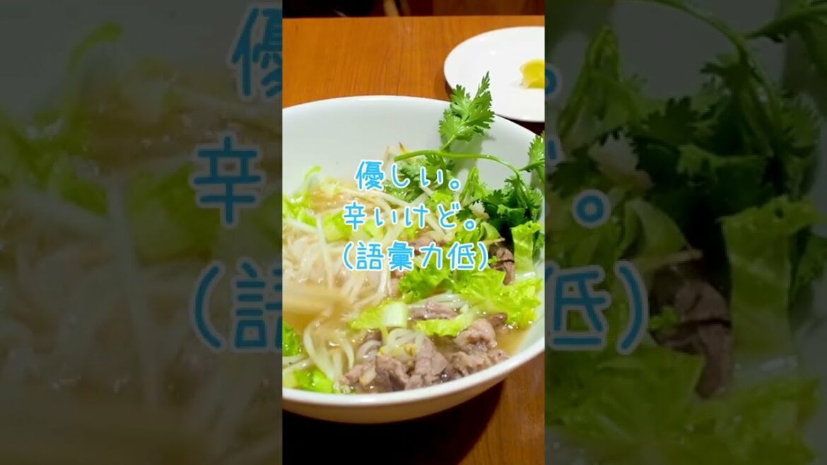 牛肉のフォー　田中みな実エディション#shorts