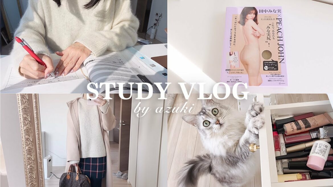 study+Tokyo vlog 🇯🇵psychology student × web designer in Japan👩 study+Tokyo vlog 🇯🇵psychology student × web designer in Japan👩