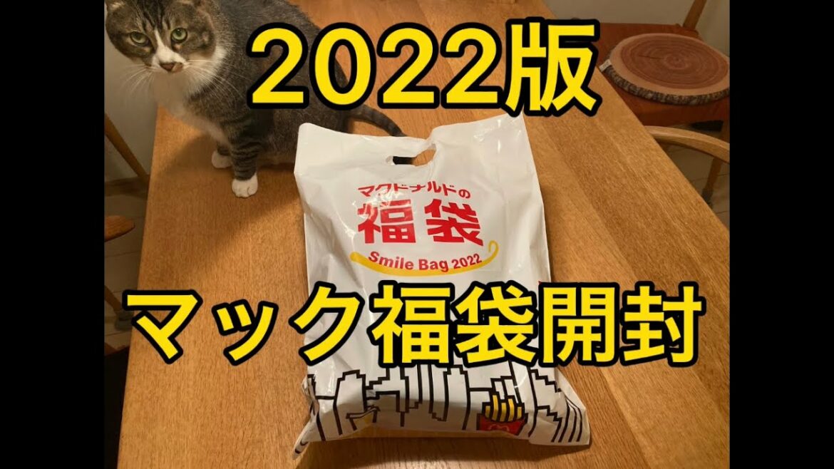 2022版マック福袋買ってみた