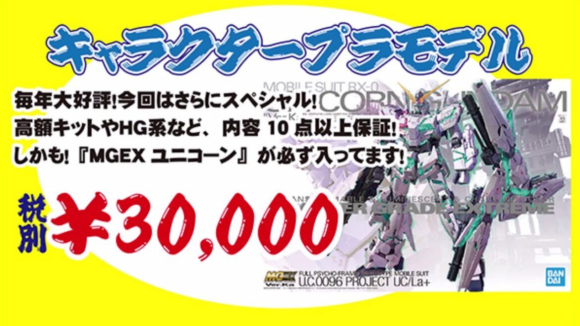 【ガンプラ福袋２０２１】イエローサブマリンさんのキャラクター福袋３０，０００円コースを開封レビュー！【鬱袋？】