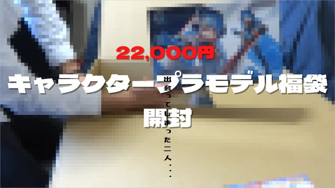 【閲覧注意】2022年　キャラクタープラモデル福袋　開封　【生声】