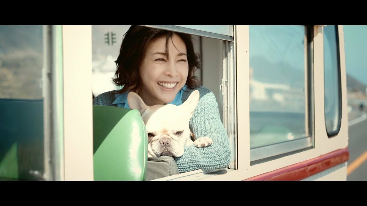 竹内結子、CMデビューした草なぎ剛の愛犬“クルミちゃん”にメロメロ キャノン ミラーレスカメラ『EOS Kiss M』新TVCM「KISS is my life.」篇&メイキング映像 竹内結子、CMデビューした草なぎ剛の愛犬“クルミちゃん”にメロメロ キャノン ミラーレスカメラ『EOS Kiss M』新TVCM「KISS is my life.」篇&メイキング映像