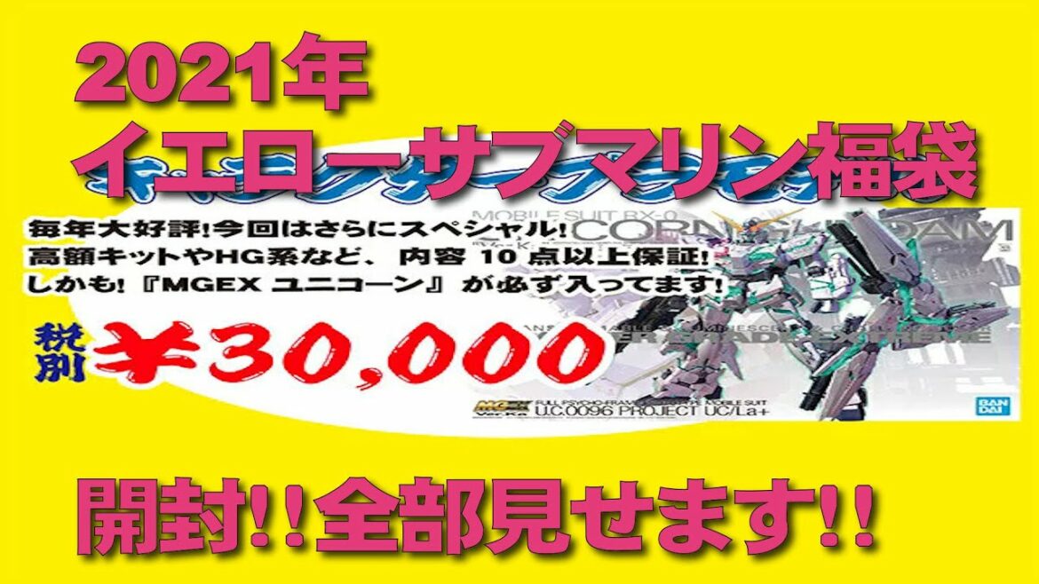 (遅)2021年福袋開封！！ イエローサブマリン3万円キャラクタープラモデル！中身見せます！！