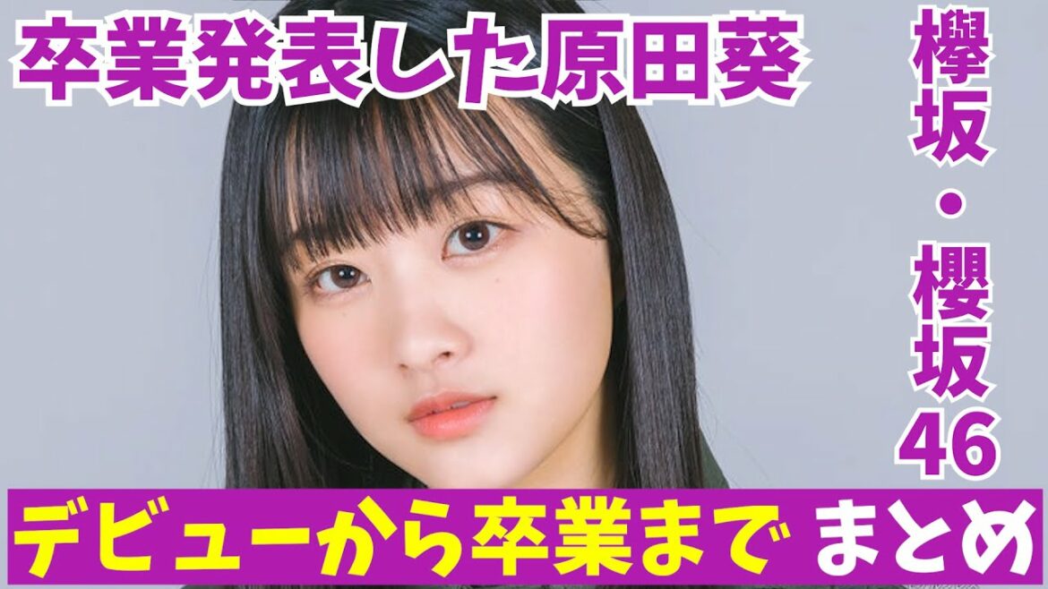 【アナウンサー就職】原田葵が卒業!!彼女の今までとこれからを振り返ります【欅坂•櫻坂】
