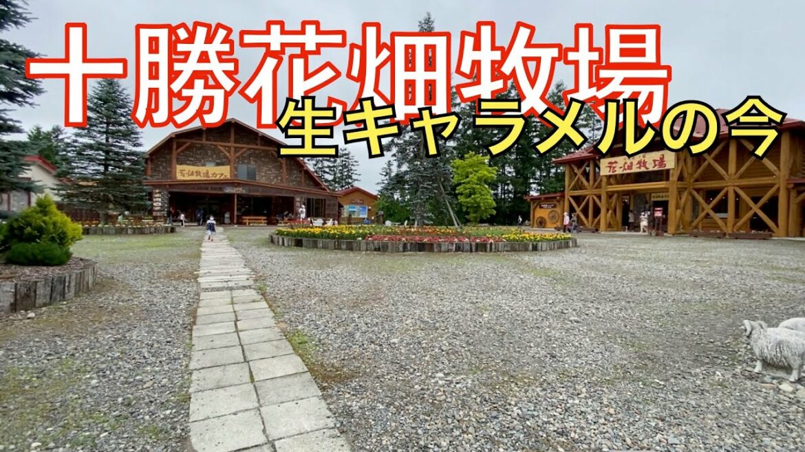 【十勝花畑牧場】中札内の花畑牧場の今