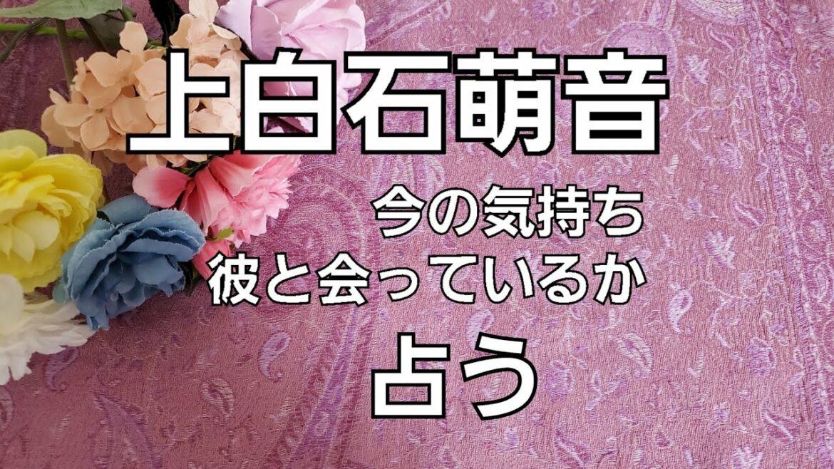 【占い】上白石萌音今の気持ち彼と会っているか状況をタロットでみた