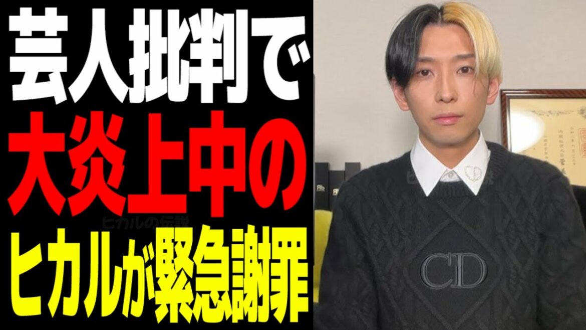 【大炎上】中堅芸人を批判し炎上中のヒカルが緊急謝罪 ヒカル切り抜き