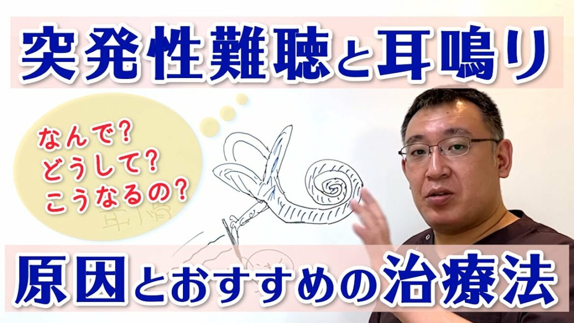 【突発性難聴（難聴）と耳鳴り】難聴・耳鳴りが起こる原因と耳の仕組みと効果的な治療法｜兵庫県西宮市 まつむら鍼灸整骨院・整体