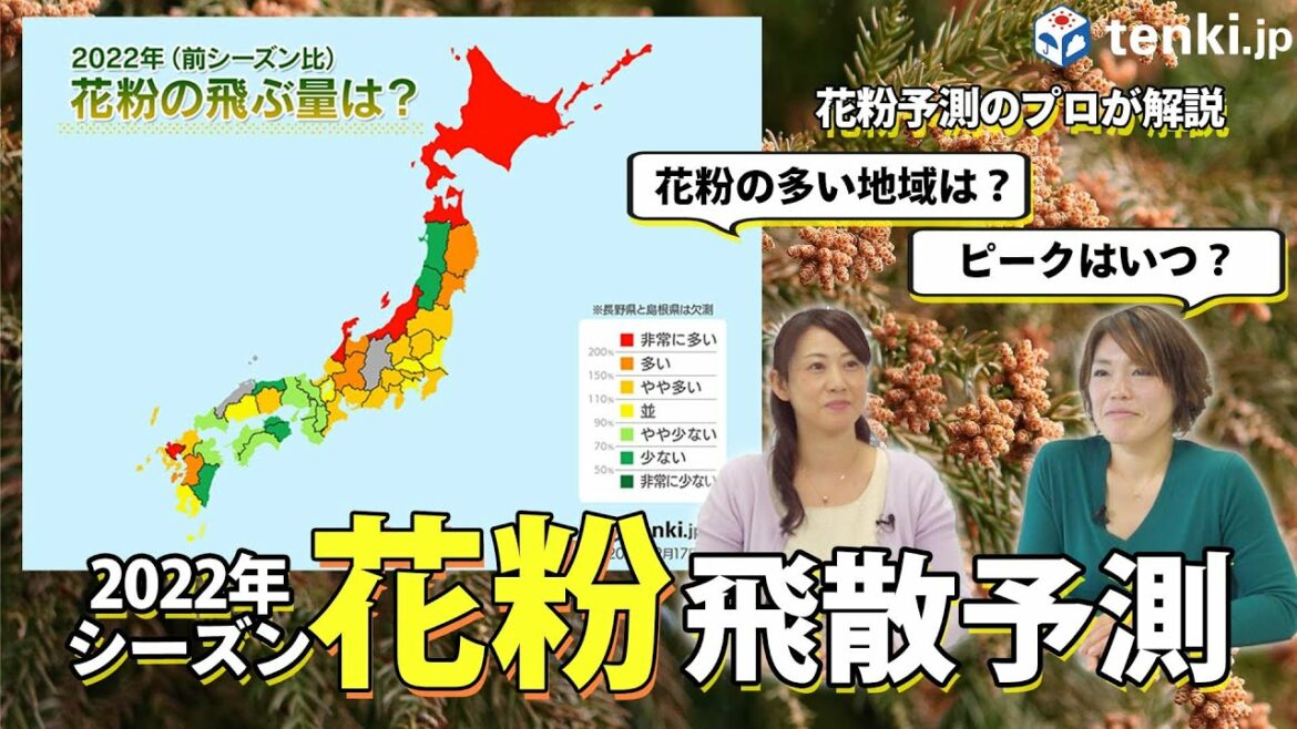 【花粉】今年の花粉の傾向は？ピークの時期はいつ？おすすめの外出時間も解説！