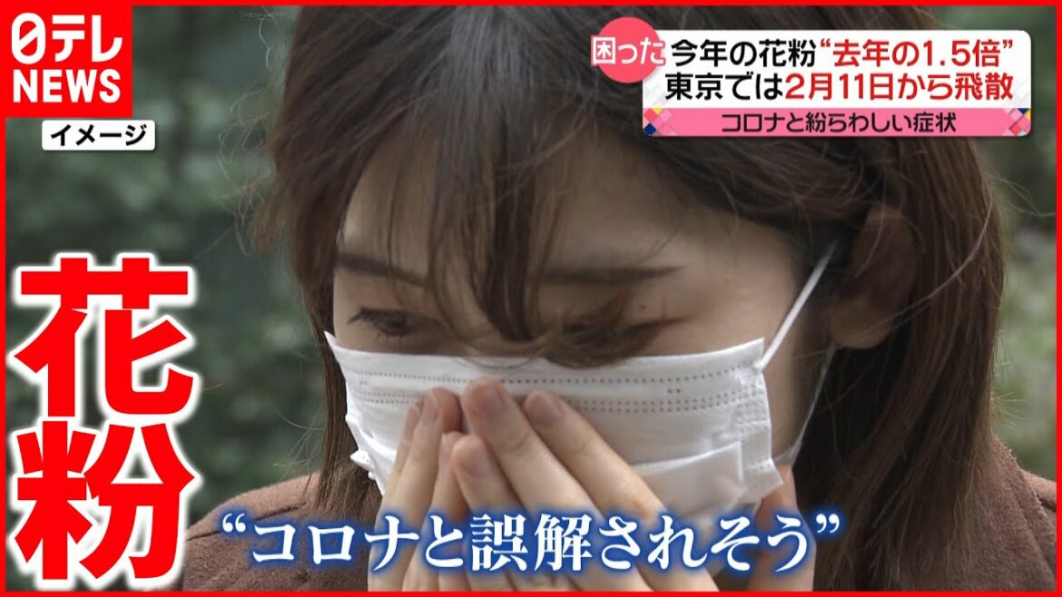 【花粉】今年は“１.５倍”飛散か… コロナ禍でどう対策？